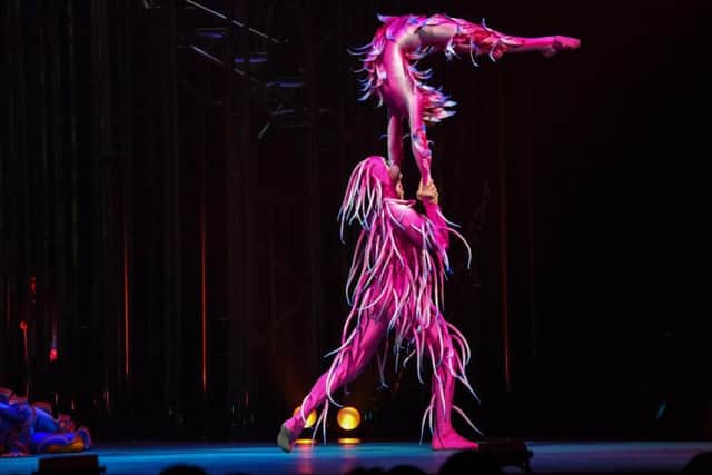"I would have bent over backwards to be in Cirque and now I do that every show," says Emily McCarthy.